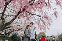 Hồ Quang Hiếu tình tứ ôm hôn Bảo Anh tại Nhật Bản