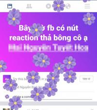 Dân mạng đua nhau thử biểu tượng cảm xúc bông hoa  Biết ơn  trong facebook