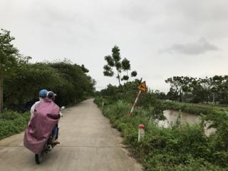 Vụ người dân đánh chết trộm chó ở Hà Nội: “Chồng tôi chỉ phòng thân, ai ngờ…”