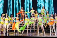 Đề nghị tạm hoãn tổ chức cuộc thi Hoa hậu Hoàn vũ VN