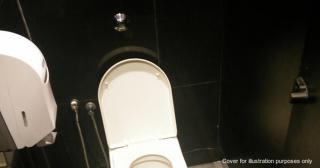 Thiếu niên 15 tuổi bất ngờ sinh con trong toilet khi đi mua sắm với gia đình