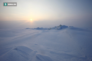 Phát hiện sinh vật kỳ dị ở Nam Cực: Khoa học phải nghĩ lại việc tìm sự sống ngoài Trái Đất