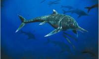 Phát hiện thêm hóa thạch  rồng biển  200 triệu năm tuổi - kẻ thống trị đại dương kỉ Jura