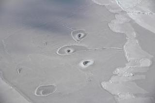 Các lỗ bí ẩn ở Bắc Băng Dương làm NASA bối rối