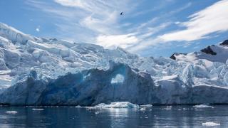 Khó mà tin được ở nơi hẻo lánh như Nam Cực lại có một hệ sinh quyển khủng khiếp thế này
