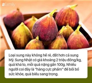 Sung đỏ lựng giá 2 triệu đồng/kg tốt thế nào mà khiến nhiều người muốn ăn đến vậy?