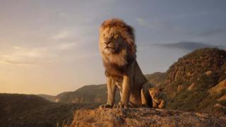  The Lion King : Simba đẹp đến từng cọng lông, Pumbaa và Timon  hài muốn xỉu 