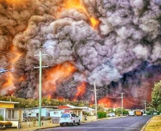 Amazon cháy kỷ lục, Úc cũng cháy  đại thảm họa : Cơn khủng hoảng khí hậu giờ đây đang hiện ra ở mọi ngóc ngách trên Trái đất