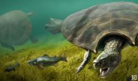 Độc- lạ: Phát hiện thủy tổ của rùa mặt đất khổng lồ