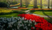 Vườn hoa đẹp nhất thế giới đóng cửa sau 71 năm, nhiếp ảnh gia tò mò muốn vào bên trong thì choáng ngợp với cảnh tượng trước mắt