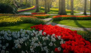 Vườn hoa đẹp nhất thế giới đóng cửa sau 71 năm, nhiếp ảnh gia tò mò muốn vào bên trong thì choáng ngợp với cảnh tượng trước mắt