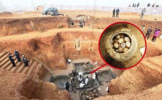 Chuyên gia khảo cổ 'tim đập chân run' mỗi khi tìm thấy trứng trong lăng mộ - Lý do vì đâu?