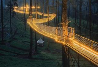 Cây cầu 'phát ánh sáng' kỳ diệu trong khu rừng Indonesia