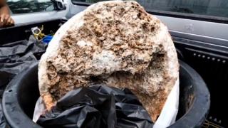 Dạo bờ biển, lão ngư dân nghèo bắt gặp khối đá được cho là 'báu vật biển' lớn nhất thế giới từng được tìm thấy, chuẩn bị đổi đời thành triệu phú