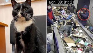 Được cứu từ bãi rác, chú mèo hoang trở thành Thứ trưởng Môi trường trong đúng một nốt nhạc