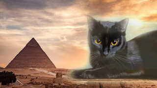 Bí ẩn về con mèo đen 4000 năm tuổi canh giữ mộ Pharaoh bên trong kim tự tháp