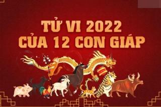 Màu sắc may mắn cho 12 con giáp mặc Tết Nguyên đán 2022