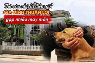 Đầu năm gặp 5 điềm lành trong nhà là dự báo lộc về căng ví