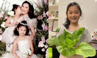Hoa hậu Hương Giang đưa con gái đầu lòng lên sàn diễn, vẻ ngoài của cô bé làm dân tình trầm trồ