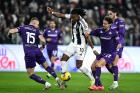 Nhận định trận Fiorentina vs Juventus: Cuộc chiến thoát khủng hoảng tại vòng 12 Serie A