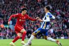 Liverpool vs Brighton: Khủng hoảng bủa vây Anfield trước vòng 16 Ngoại hạng Anh 2025/2026
