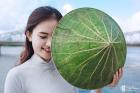 Sen Huế và hành trình đánh thức tinh hoa nghề truyền thống giữa lòng cố đô
