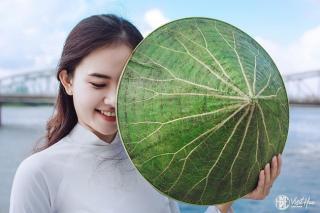 Sen Huế và hành trình đánh thức tinh hoa nghề truyền thống giữa lòng cố đô